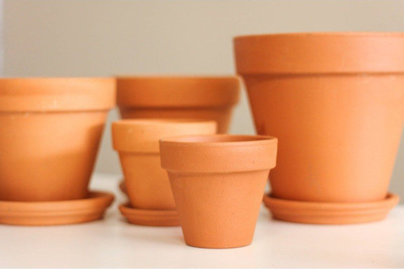 Terracotta potten