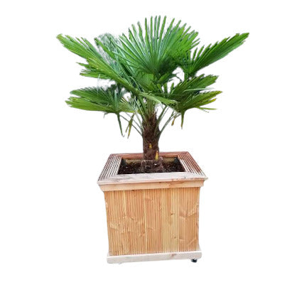 Vierkante larex houten plantenbak