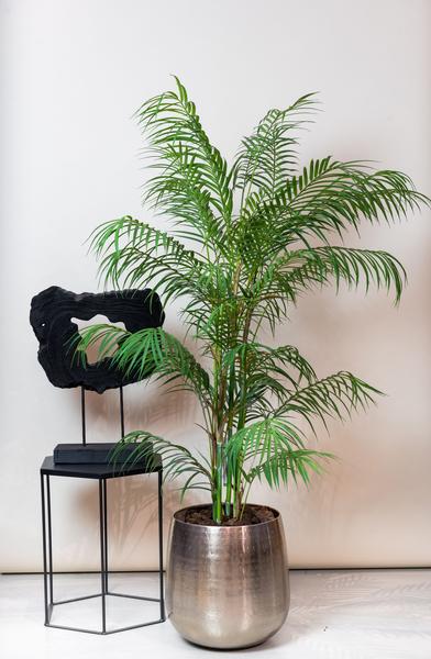 Kunstplant - Chamaedorea Elegans - Bergpalm - 120 cm