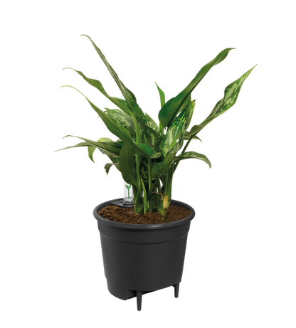 Self Watering Insert - 36 cm