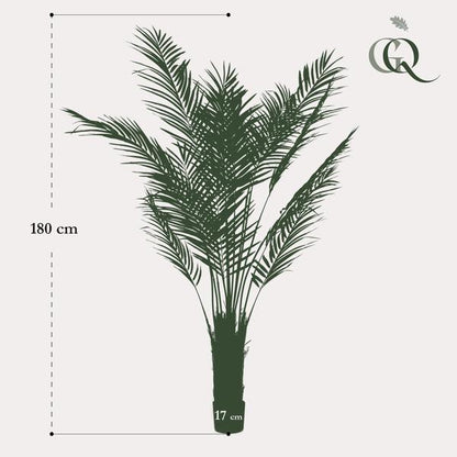 Kunstplant - Areca Lutescens - Goudpalm - 180 cm